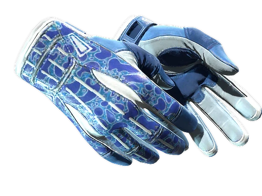 Sport Gloves | Amphibious