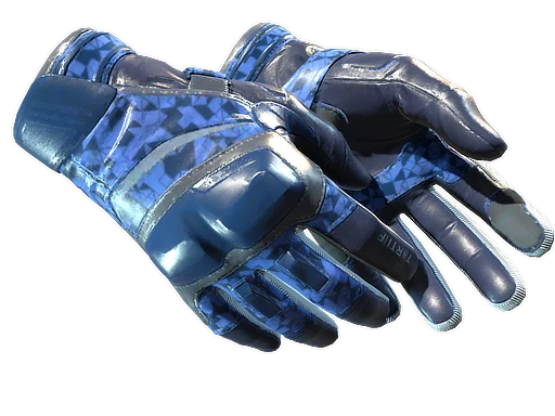 Moto Gloves | Polygon