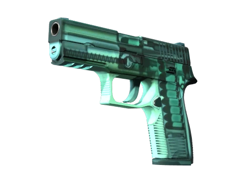 P250 | X-Ray