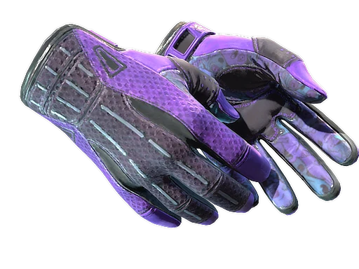 Sport Gloves | Pandora's Box