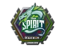 Team Spirit (Holo)